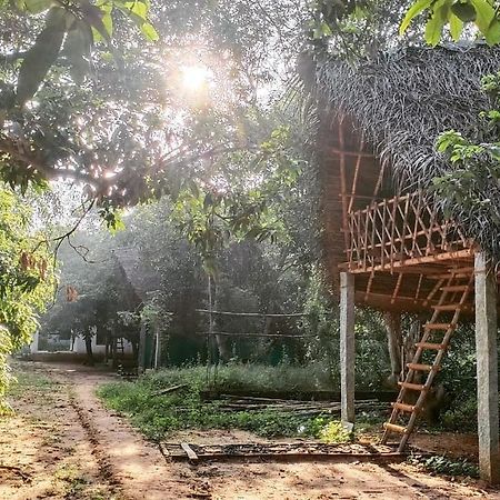 Art Forest Hotel Auroville Exterior photo
