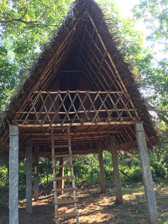 Art Forest Hotel Auroville Exterior photo