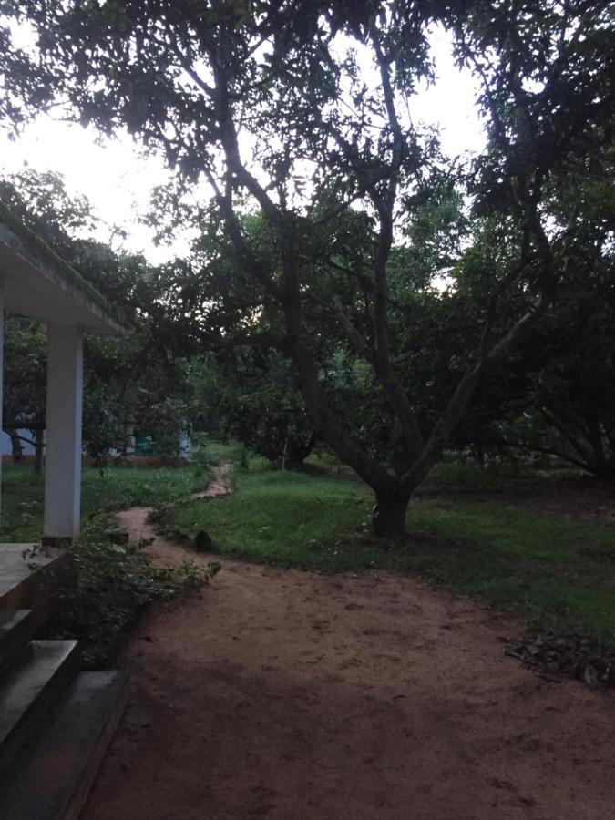 Art Forest Hotel Auroville Exterior photo