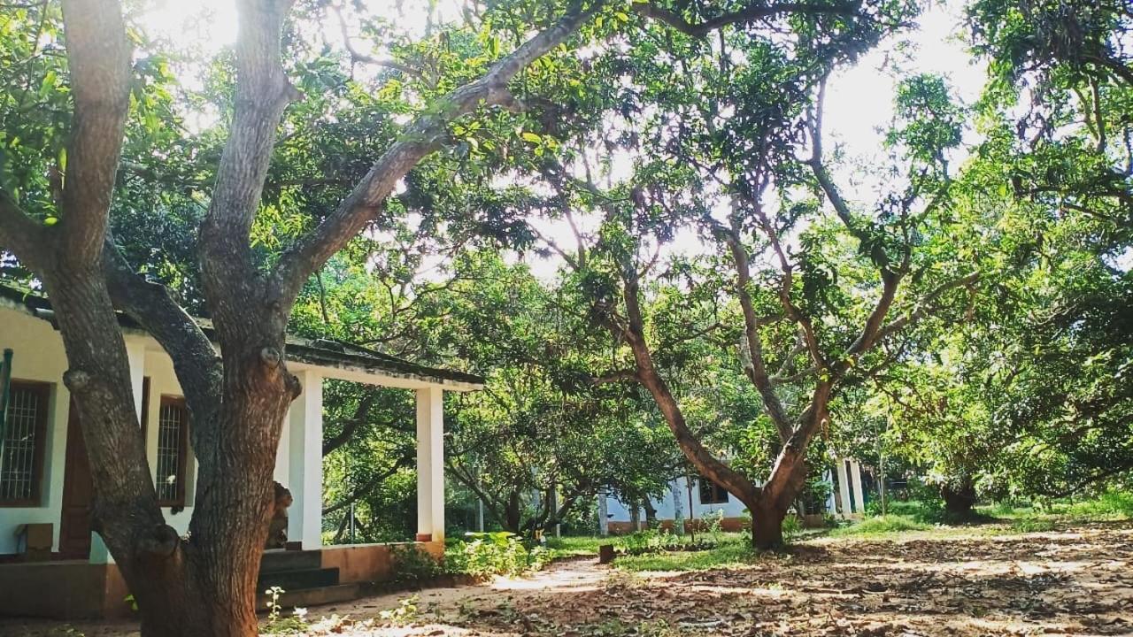 Art Forest Hotel Auroville Exterior photo