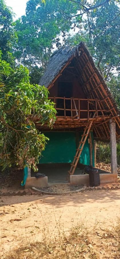 Art Forest Hotel Auroville Exterior photo